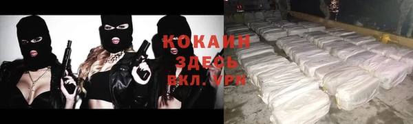 mix Ельня