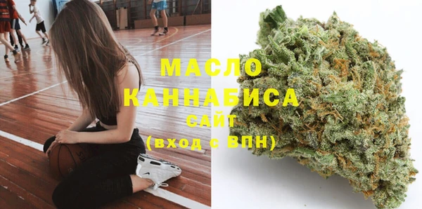 mix Ельня