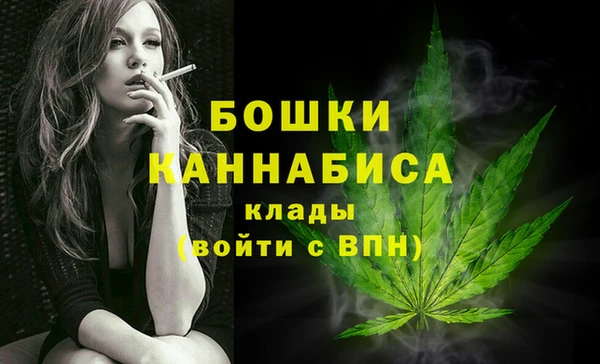 mdpv Елабуга