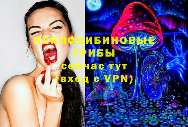 mix Ельня