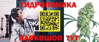 молекула духа Кулебаки