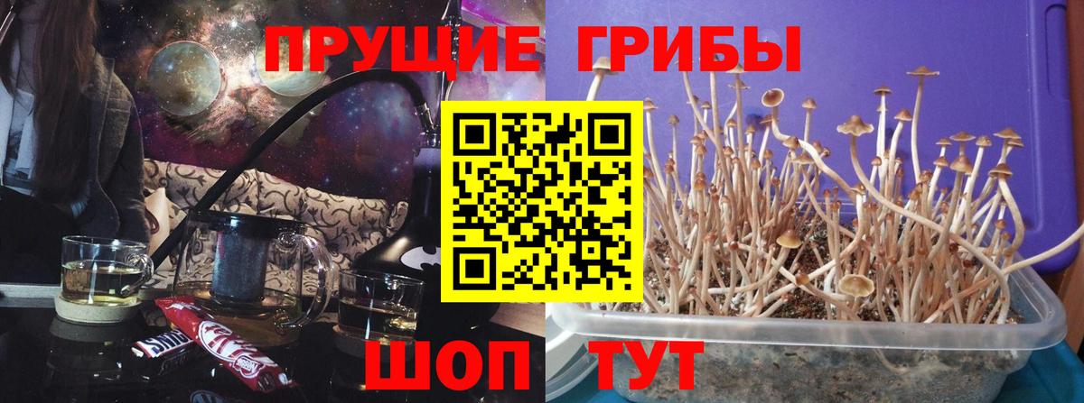 Галлюциногенные грибы Magic Shrooms Усолье-Сибирское